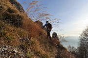 74 Bei passaggi tra alti steli d'erba secca!